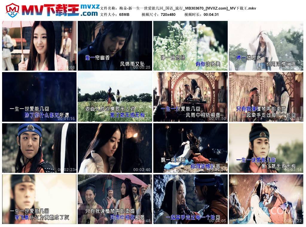 梅朵-新一生一世爱能几回_国语_流行_MB303670